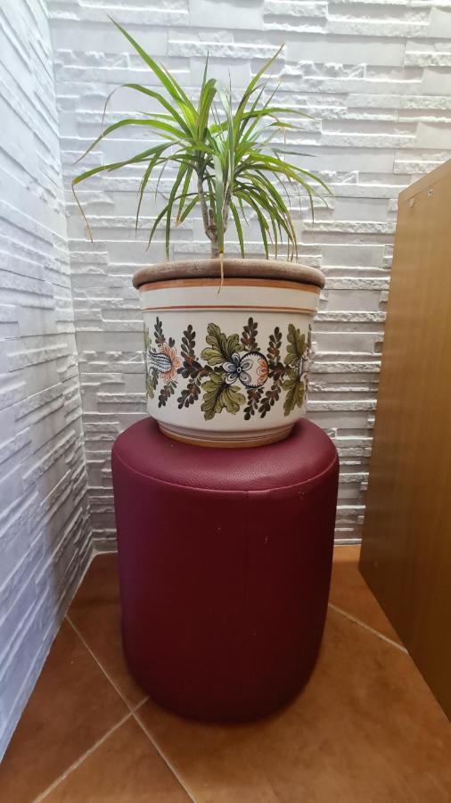 Apartment Akacija Gardens Belgrad Zewnętrze zdjęcie